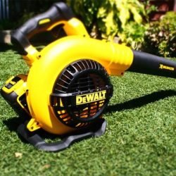 DeWalt Leaf Blowers